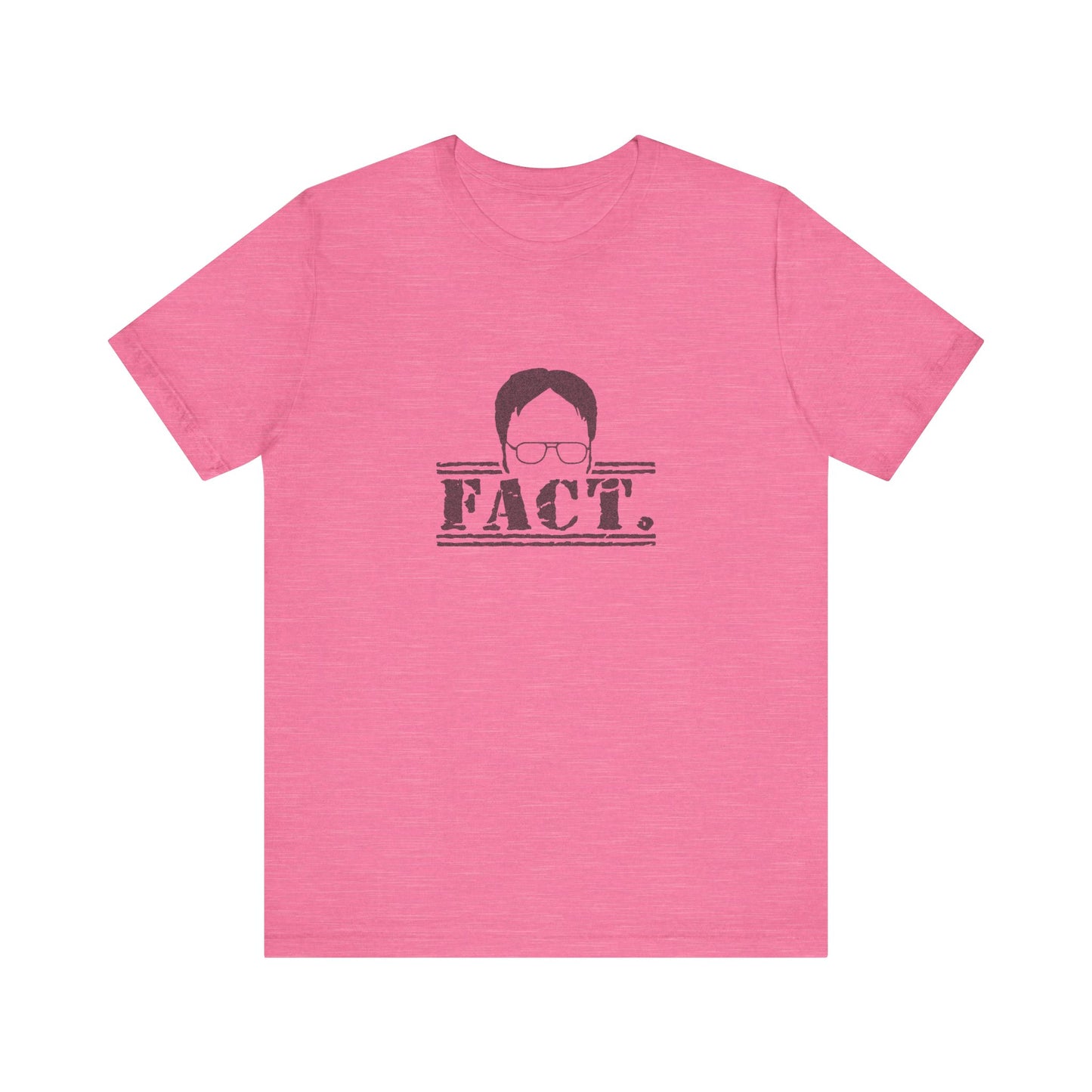 Dwight Schrute FACT. — The Office-Inspired Retro Tee (Light)