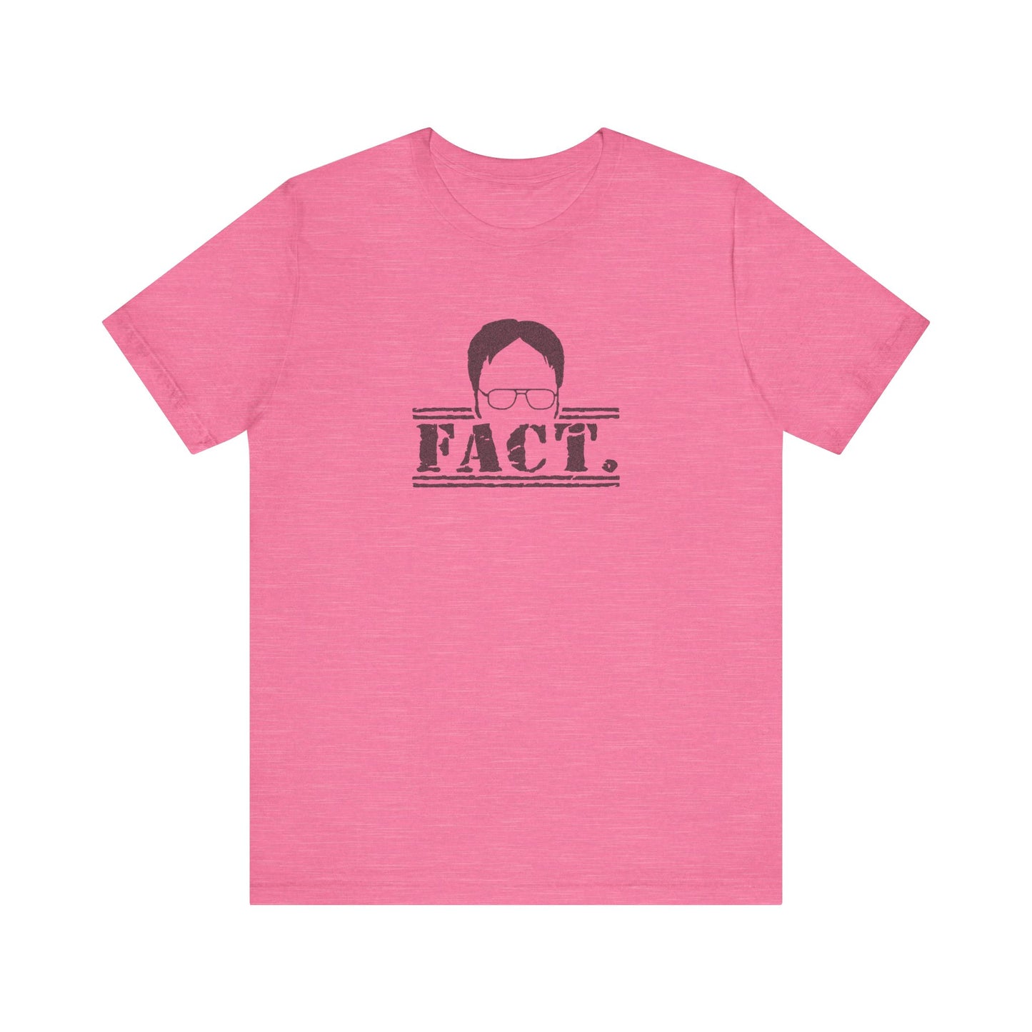 Dwight Schrute FACT. — The Office-Inspired Retro Tee (Light)