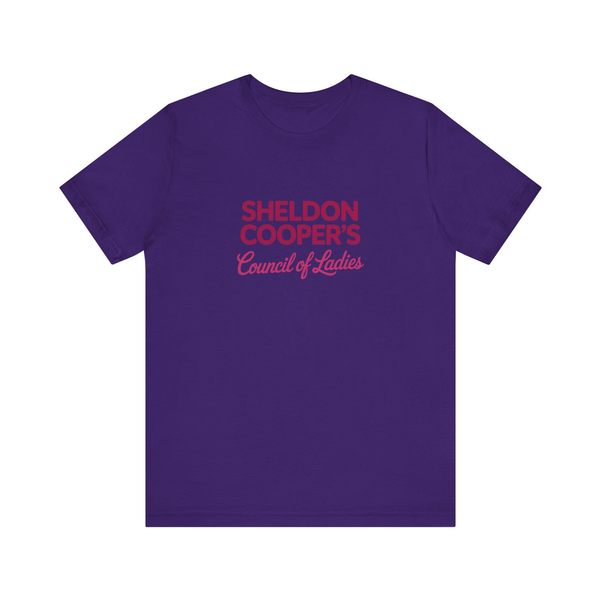 Sheldon Cooper’s Council of Ladies — TBBT Retro Tee (Dark)