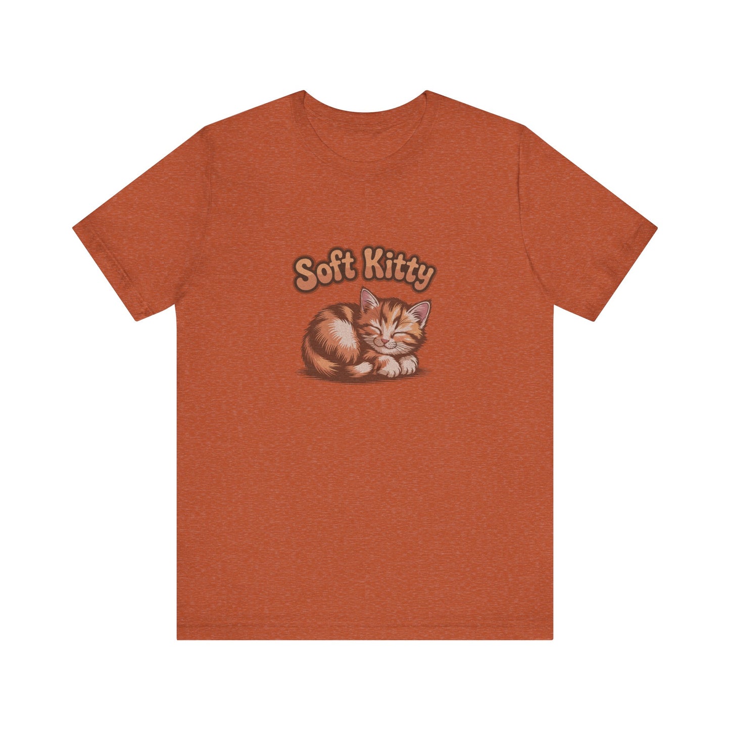 Soft Kitty Sick-Day Lullaby — Big Bang Theory Retro Tee (Light)