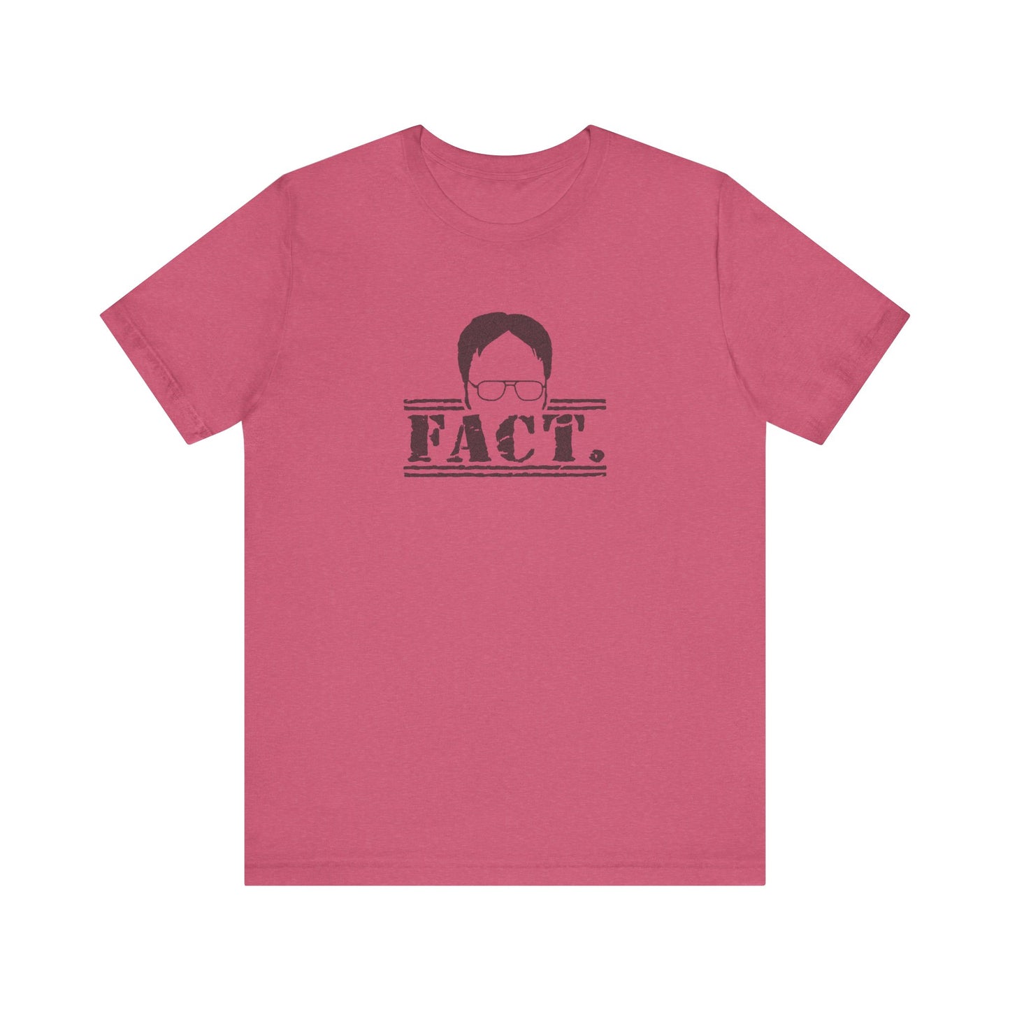 Dwight Schrute FACT. — The Office-Inspired Retro Tee (Light)