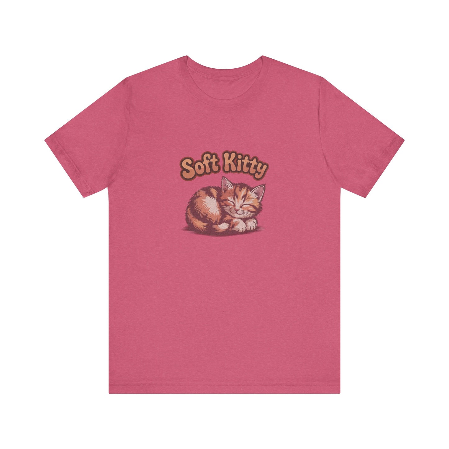 Soft Kitty Sick-Day Lullaby — Big Bang Theory Retro Tee (Light)