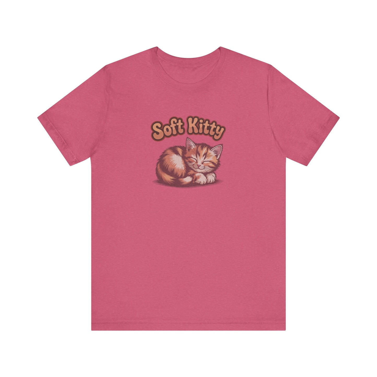 Soft Kitty Sick-Day Lullaby — Big Bang Theory Retro Tee (Light)